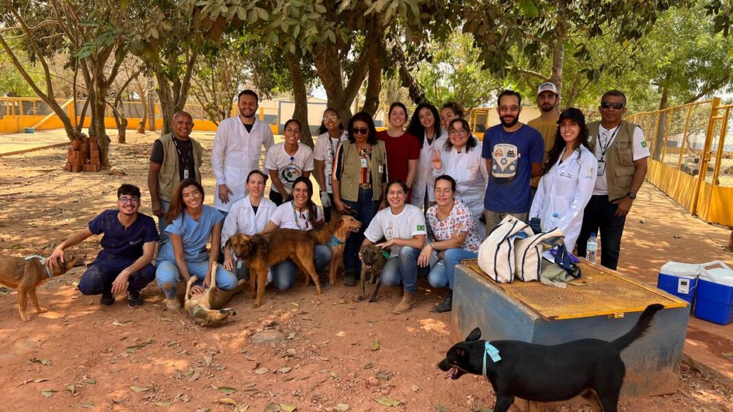Alunos do UNICEPLAC participam da campanha de vacinação antirrábica do GDF Alunos do UNICEPLAC participam da campanha de vacinação antirrábica do GDF