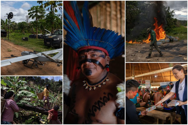 Dois anos de ações federais na Terra Yanomami: garimpo ilegal despenca e mortes por desnutrição caem 68% Dois anos de ações federais na Terra Yanomami: garimpo ilegal despenca e mortes por desnutrição caem 68%