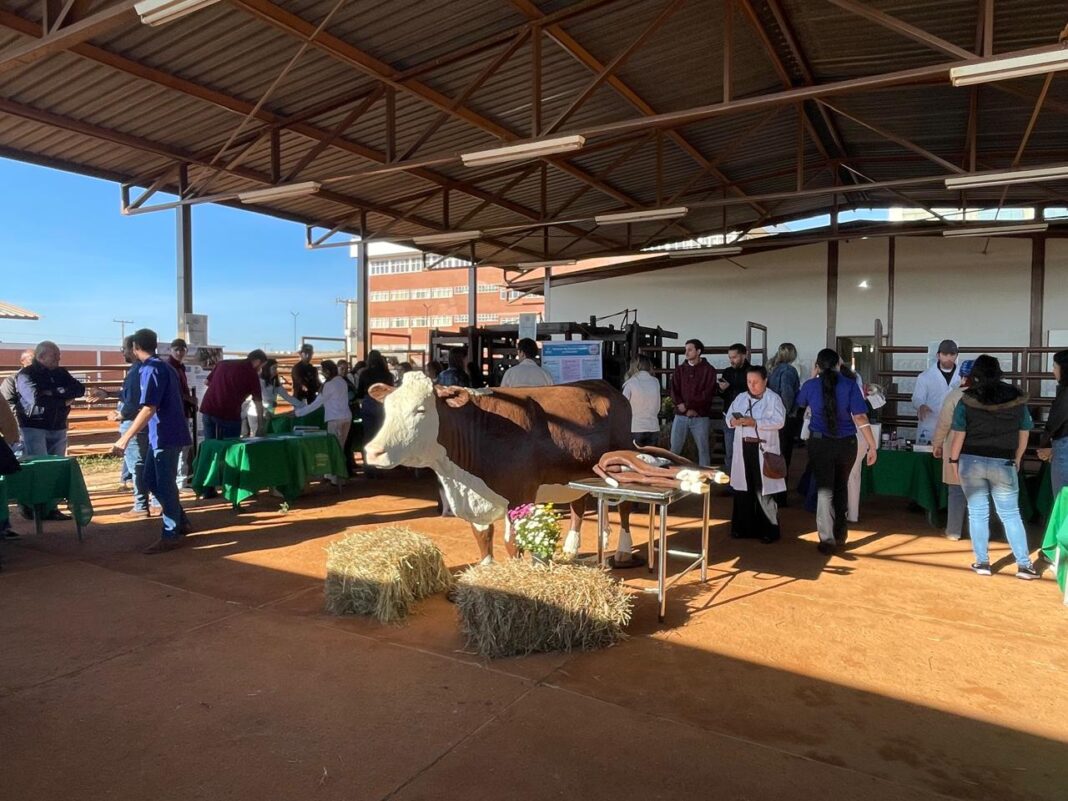 Estudantes do UNICEPLAC levam consultoria gratuita a produtores de leite do DF