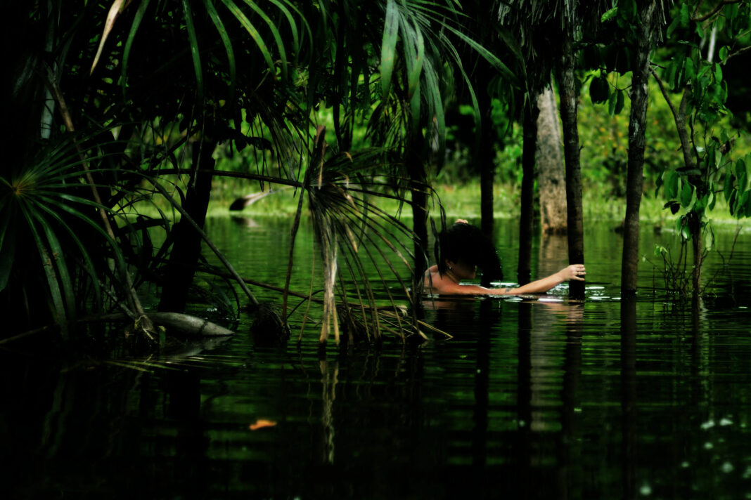 Exposição interativa e inédita no CCBB destaca o olhar de fotógrafas do Pará