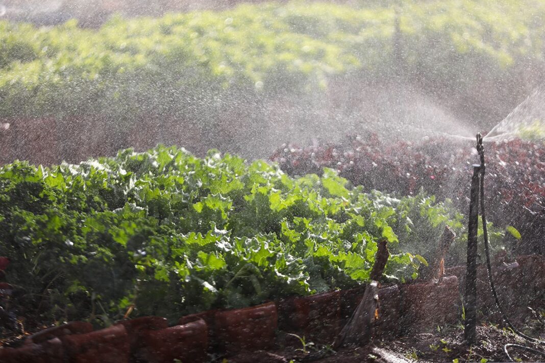 GDF regulariza 780 imóveis rurais e leva segurança jurídica a famílias no campo