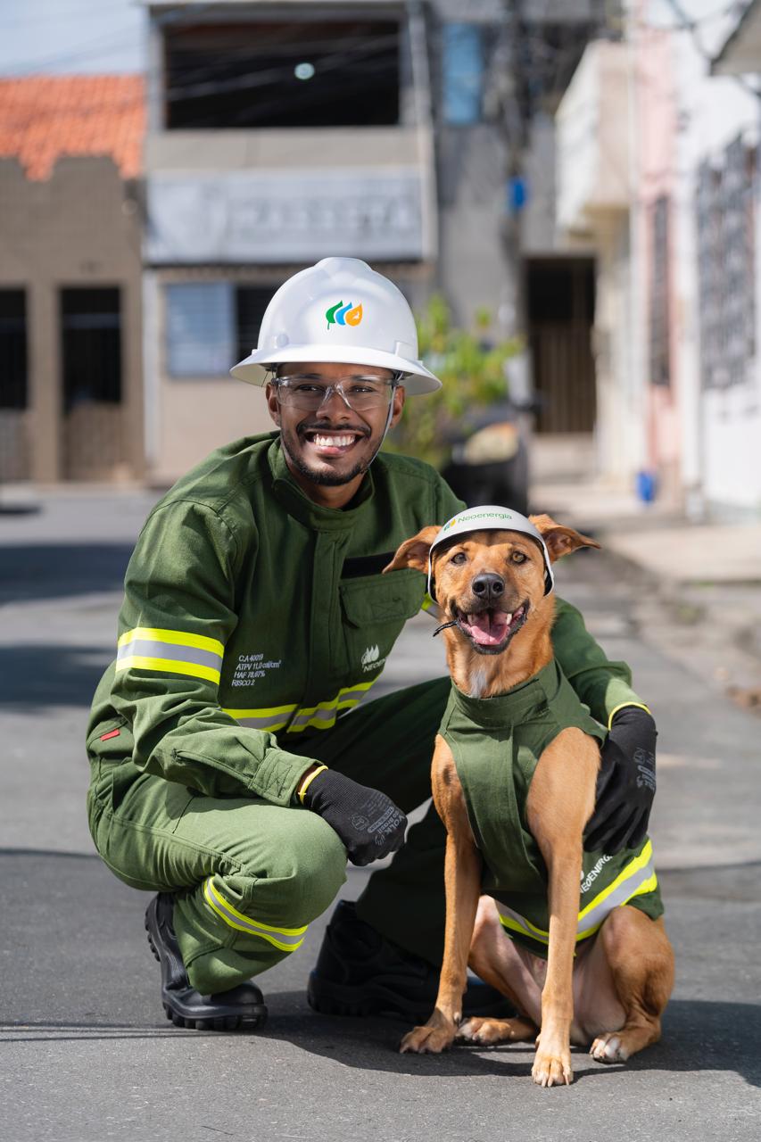 Concessionária de energia alerta: pets e eletricidade são combinação perigosa