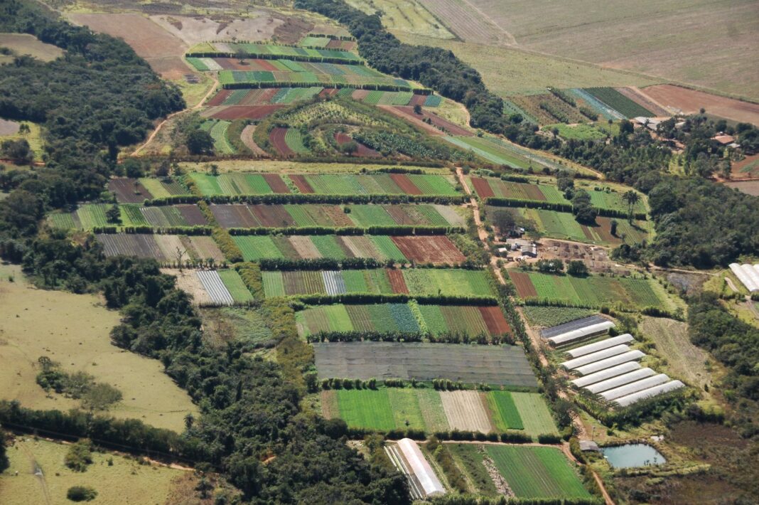 Preservação do Cerrado ganha força com agricultura orgânica