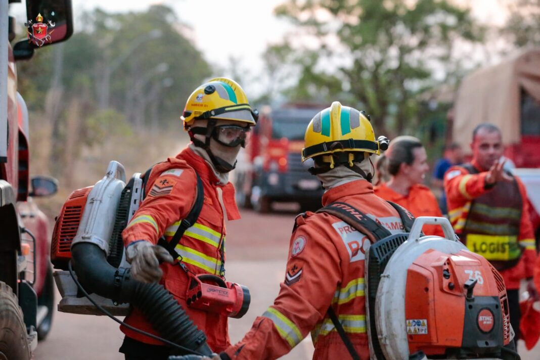 Floresta Nacional de Brasília – FLONA
