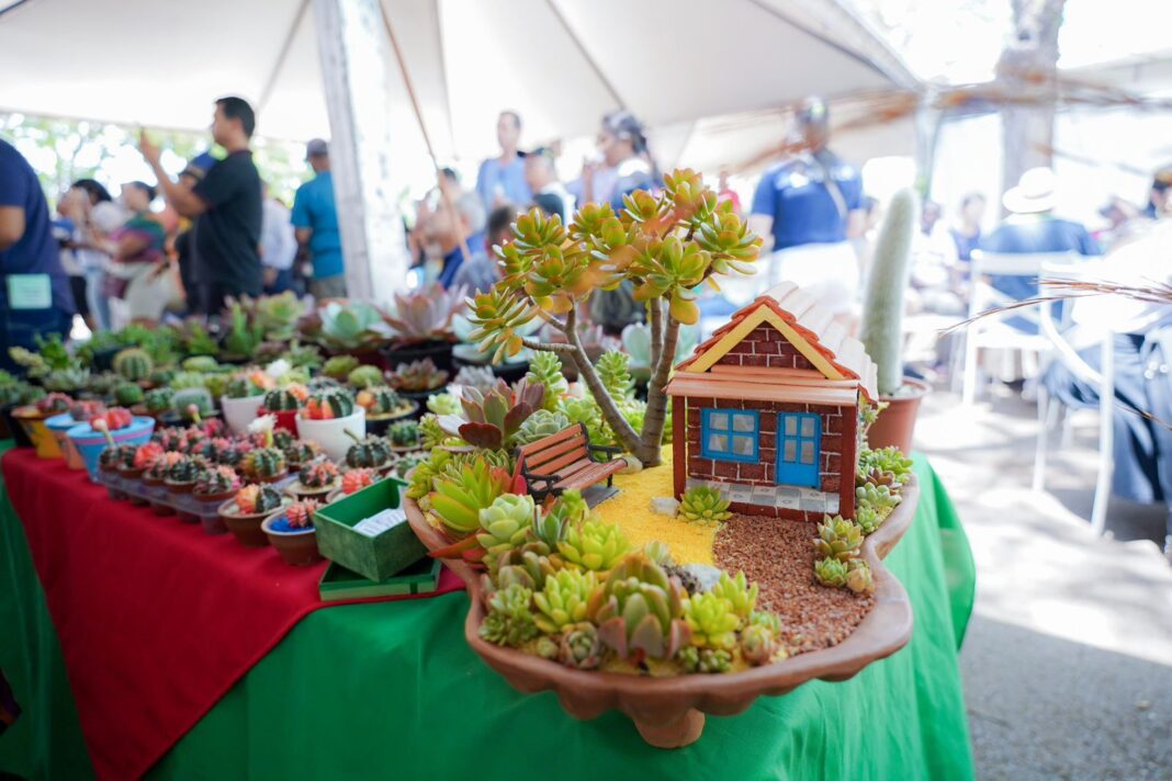 Confira as atracações gastronômicas e artesanais que te esperam na Feira #NoEntornoTem