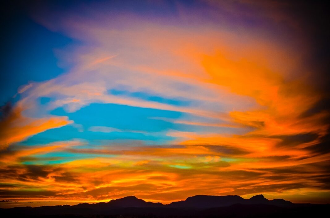 Cerrado Sagrado: exposição fotográfica reverte 100% das vendas para a recuperação do Cerrado