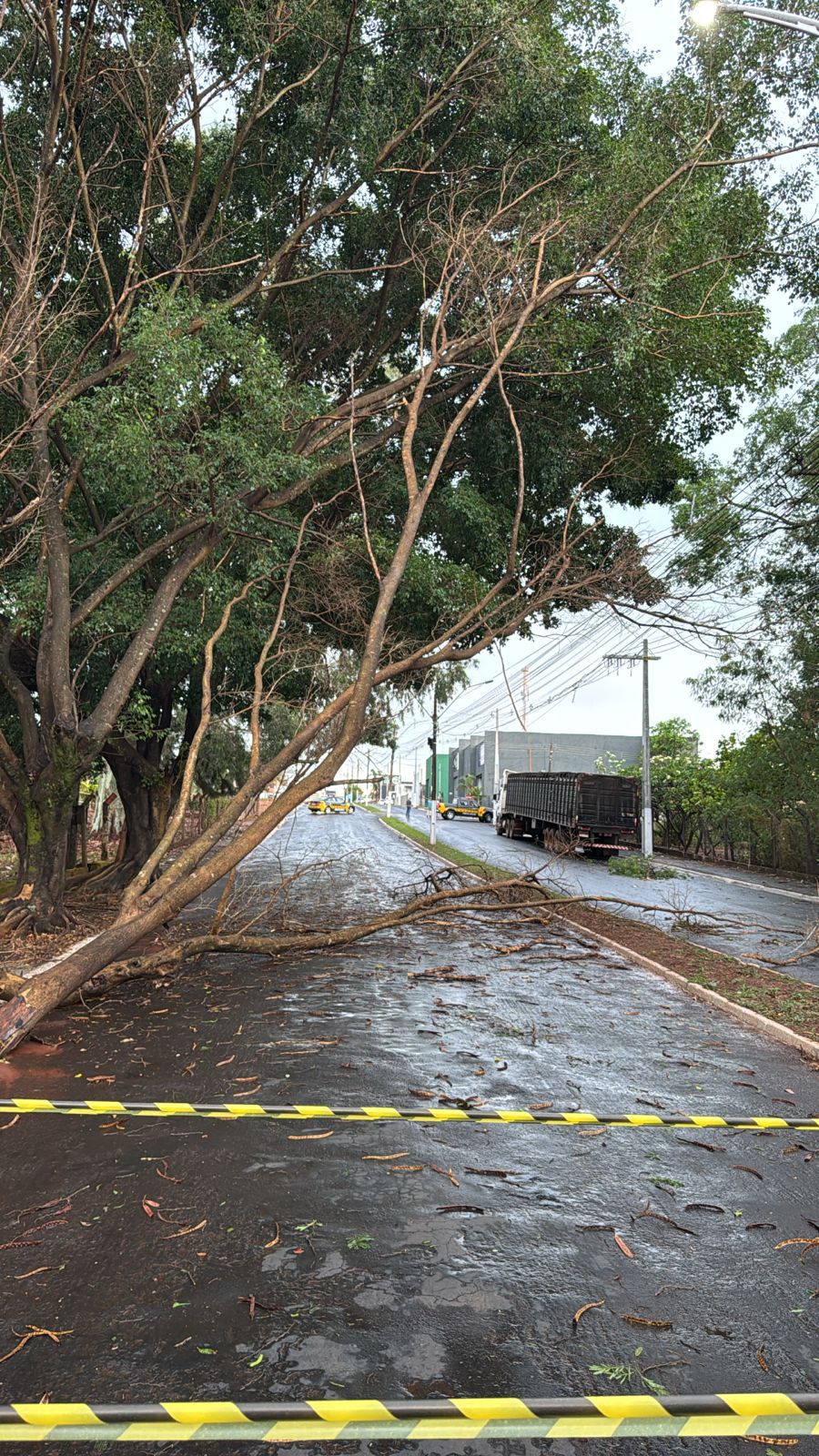 Retorno de chuvas fortes e ventos de até 58 km/hora acendem alerta em várias regiões de Goiás