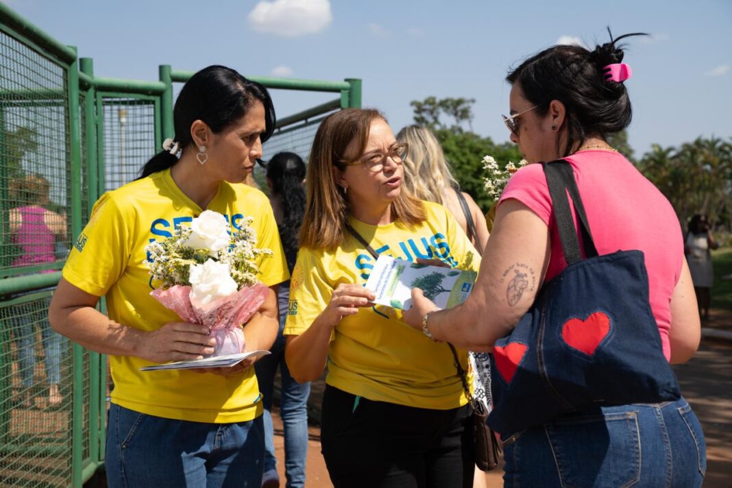 Mais de 600 mil pessoas visitaram cemitérios do DF no feriado de Finados