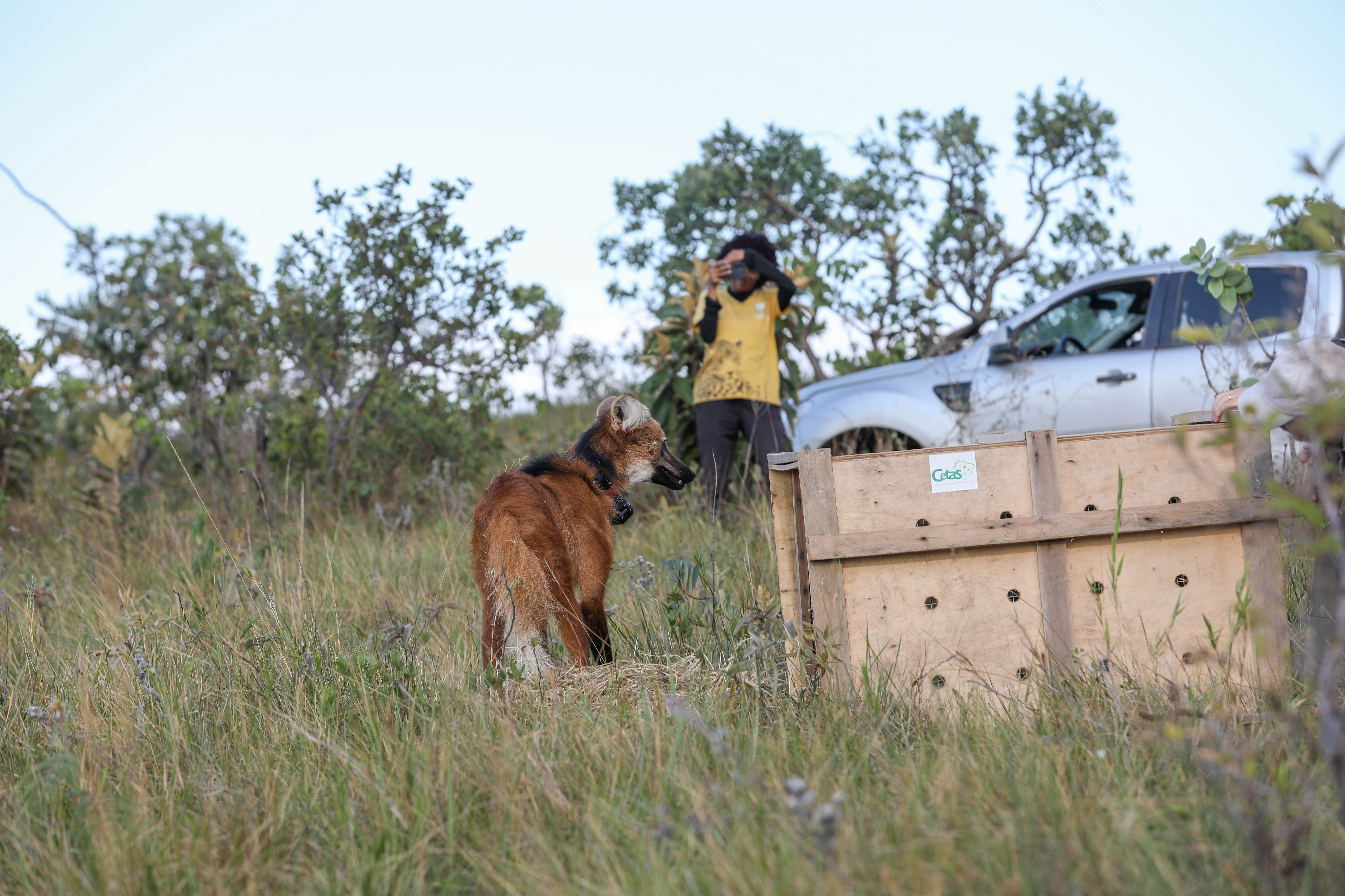Brasília Ambiental: Ações de preservação e educação em favor do Cerrado marcam 2025