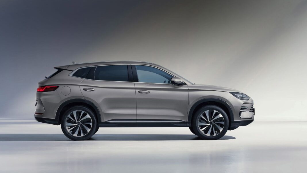 Natal do Brasília Shopping tem Compre e Ganhe com panettone Ofner e sorteio de BYD Song Plus 0 km