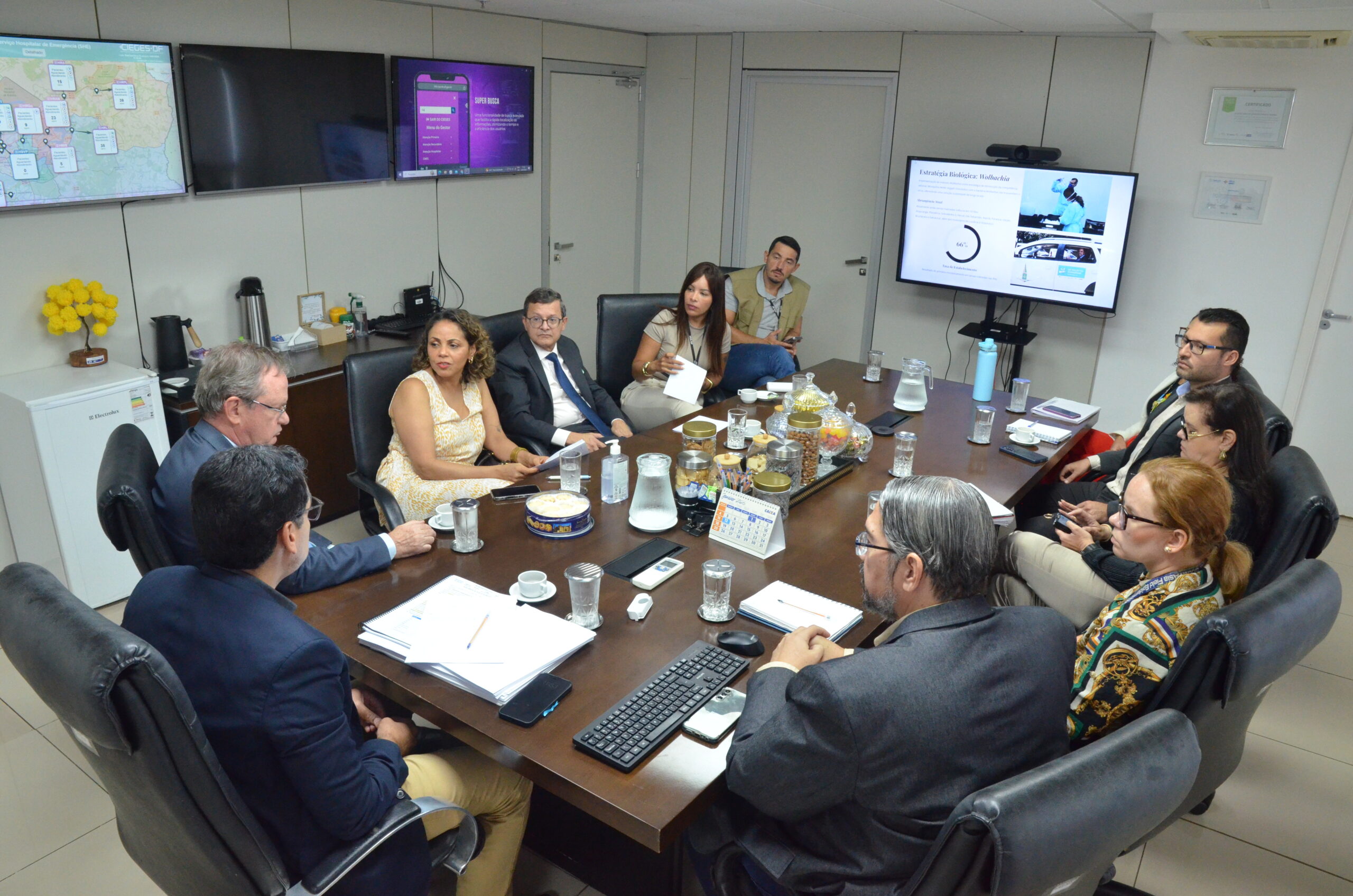 Reunião alinha ações para fortalecer combate à dengue no DF