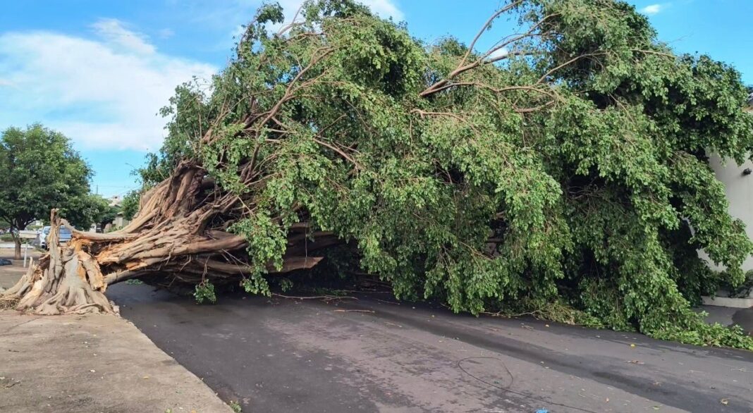 Equatorial Goiás alerta para risco de chuvas intensas e alagamentos nos próximos dias