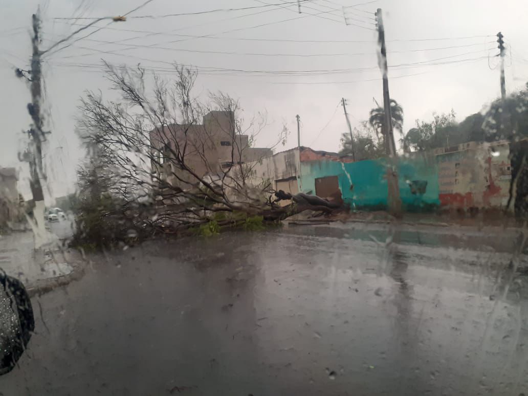 Instabilidade climática em Goiás traz previsão de chuvas intensas e rajadas de vento