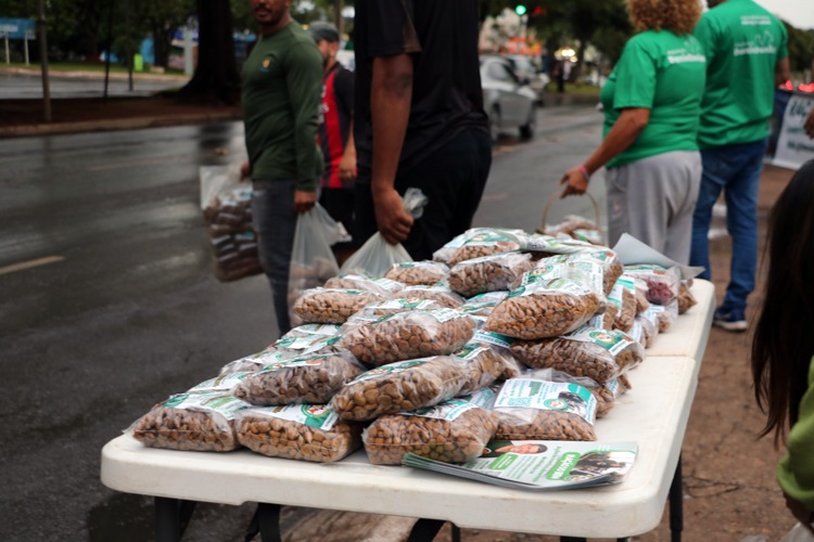 Ração do Bem mobiliza moradores do Gama em ação de cuidado com animais de rua