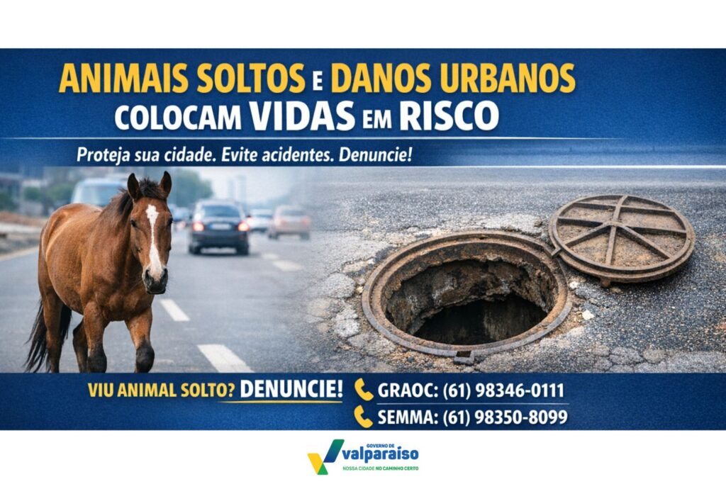 Prefeitura Municipal alerta para os riscos de animais soltos e danos aos espaços públicos