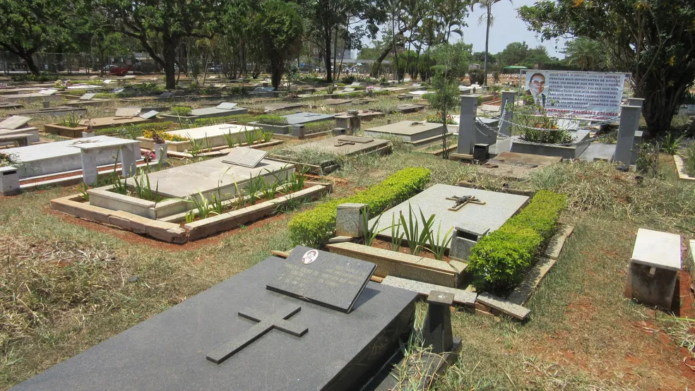 DF avança para autorizar sepultamento de cães e gatos em jazigos familiares com projeto do deputado Daniel Donizet