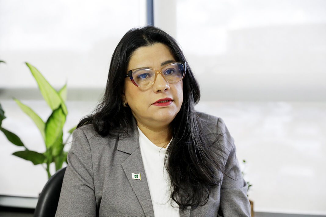 DF amplia rede de saúde mental com novas unidades, reforço de equipes e ações integradas DF amplia rede de saúde mental com novas unidades, reforço de equipes e ações integradas
