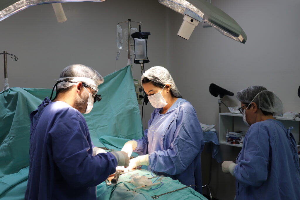 HGG é o maior transplantador de órgãos do Centro-Oeste HGG é o maior transplantador de órgãos do Centro-Oeste