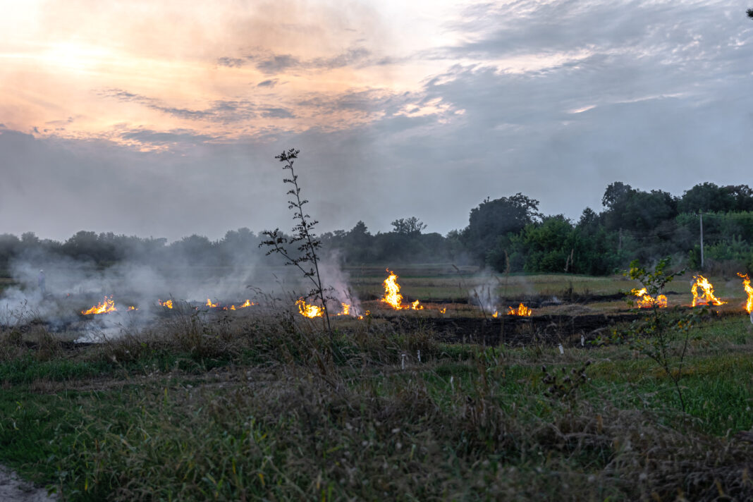 Queimadas colocam fornecimento de energia em risco durante período de estiagem em Goiás Queimadas colocam fornecimento de energia em risco durante período de estiagem em Goiás