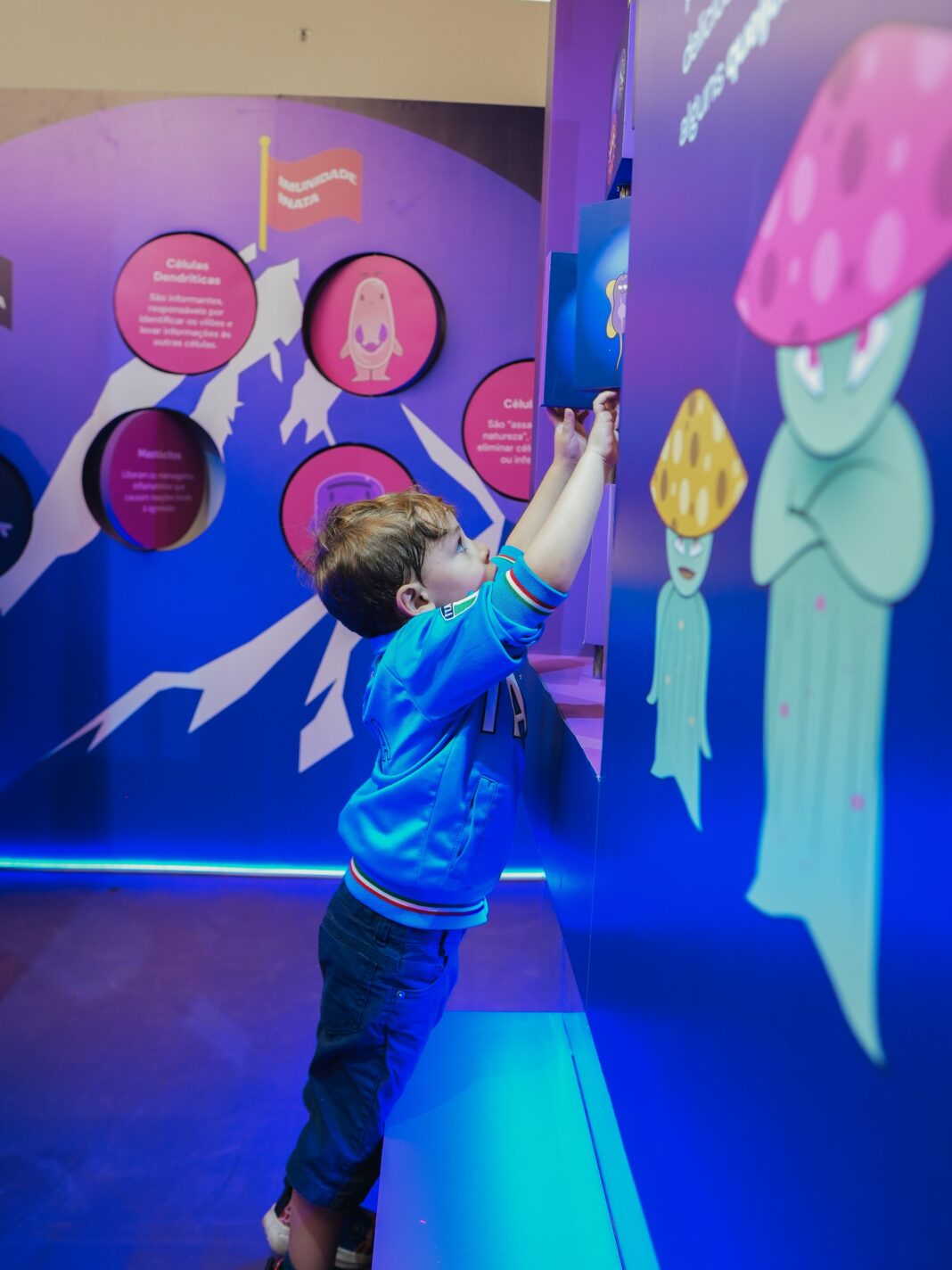 Último fim de semana para conhecer a exposição que leva visitantes a uma viagem pelo sistema imunológico Último fim de semana para conhecer a exposição que leva visitantes a uma viagem pelo sistema imunológico