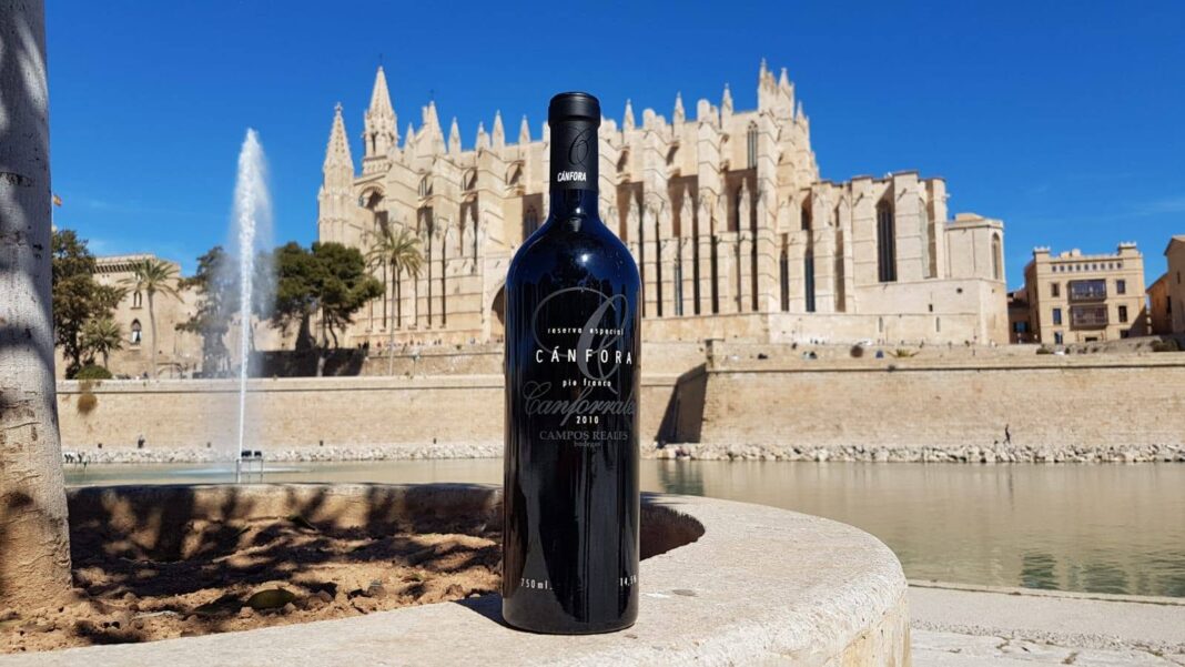 Vinhos espanhóis Canforrales passam por experiência inédita de mercado em Goiânia Vinhos espanhóis Canforrales passam por experiência inédita de mercado em Goiânia
