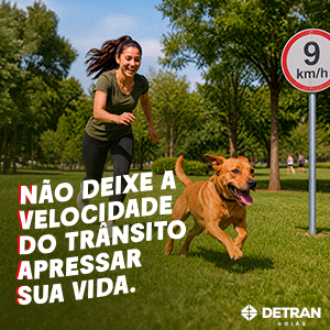 https://goias.gov.br/detran/