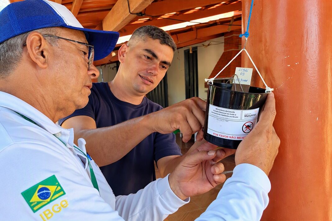 Combate ao Aedes aegypti ganha reforço contra dengue e chikungunya Combate ao Aedes aegypti ganha reforço contra dengue e chikungunya