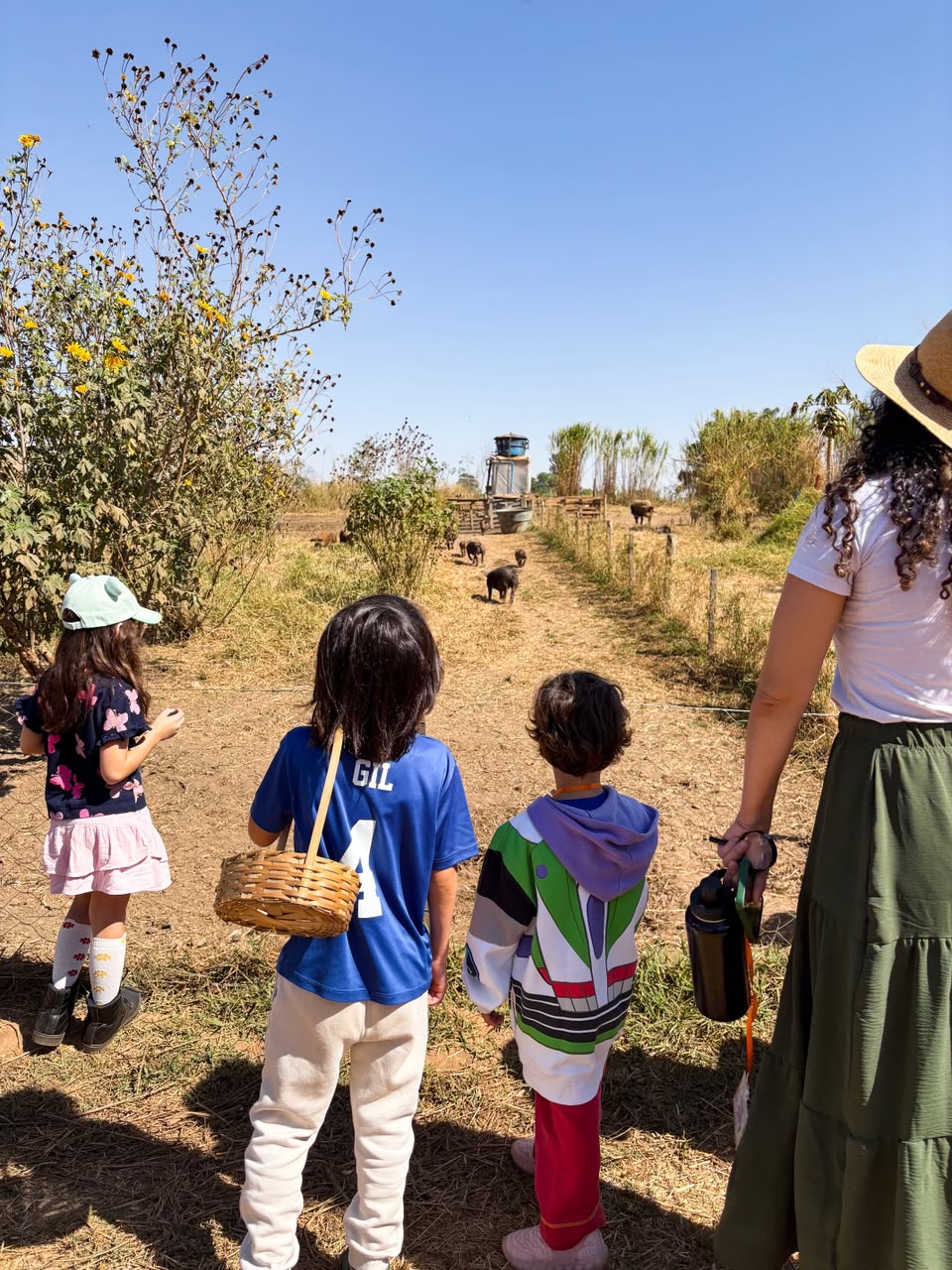 Do campo à mesa: Fazenda Malunga aproxima crianças da produção de alimentos Do campo à mesa: Fazenda Malunga aproxima crianças da produção de alimentos